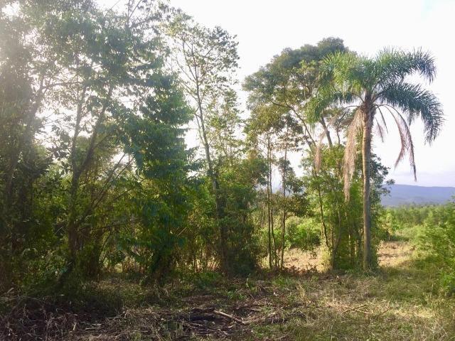 Chacara Escriturada a 15 minutinhos de São Leopoldo, Parcelo Sem juros!! - Foto 2