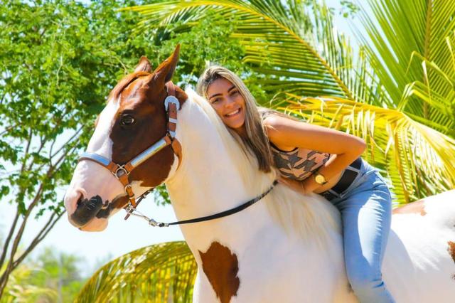 Docilidade, beleza e força em um só animal