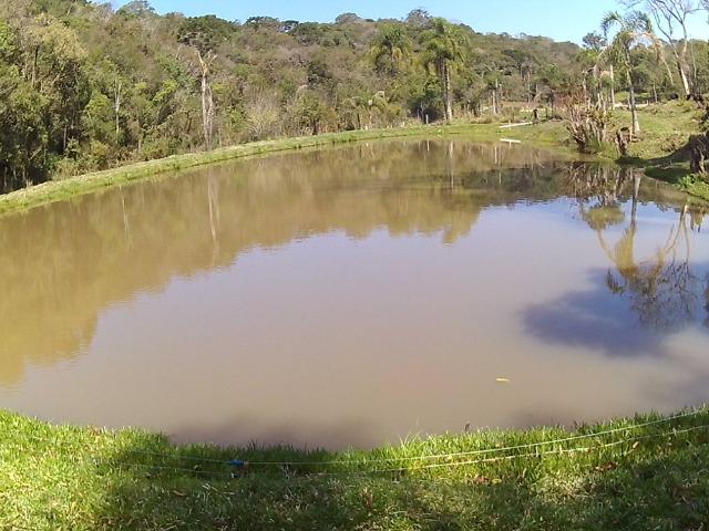 Chacara com 22.000m2 - Foto 8