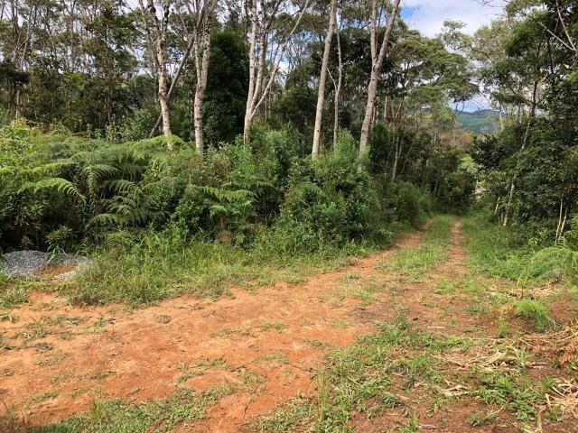 (Torro) Chácara em Bocaiuva do sul com 2.000 m²