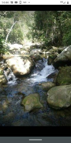 Venda - Foto 4