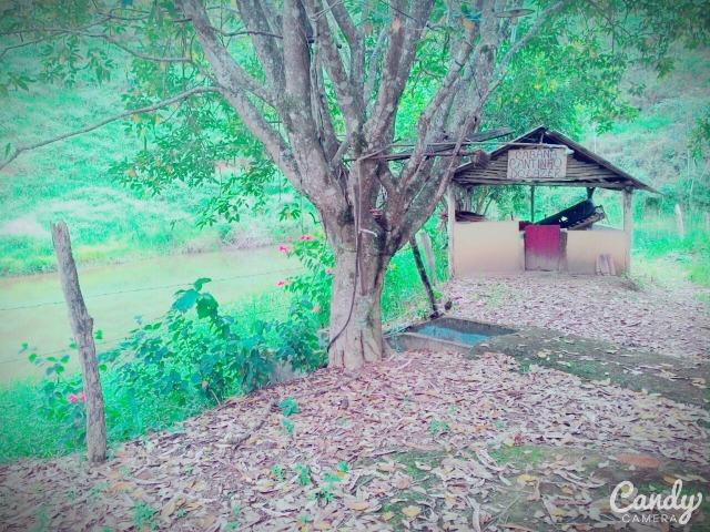 Fazenda Muito Boa na Região Veja a Descrição - Foto 16