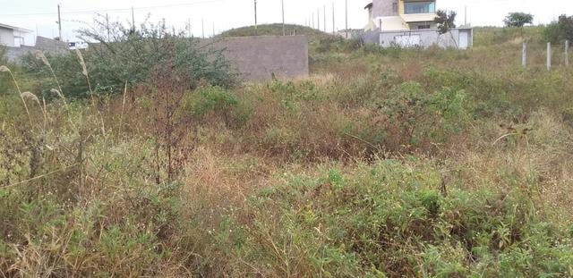 Excelente Terreno na Serra Negra em Bezerros - Foto 2