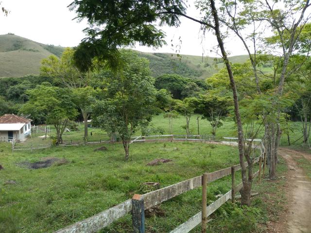 Sítio em Carvalhos Mg - Foto 5