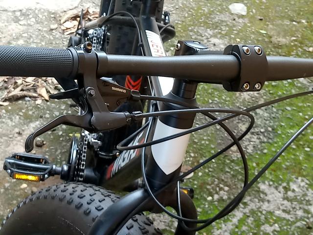 Bicicleta importada