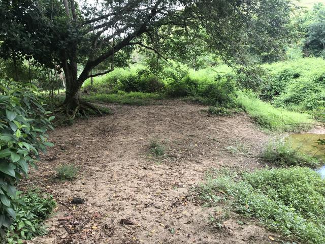 Oportunidade Venda Sítio/Rancho 46mil m2 em Aldeia Velha - Silva Jardim-RJ - Foto 6