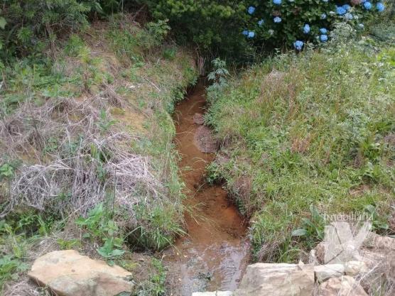 Chácara - venda, 176.055 m² por r$ 1.500.000 - botiatuva - - campo largo - pr - Foto 6