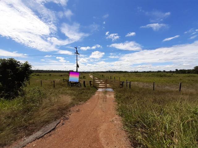 Fazenda com 160 hectares em Mucajai/RR, ler descrição do anuncio - Foto 19