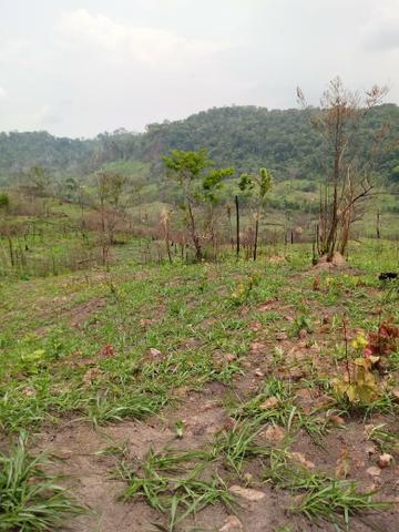 Fazenda - Foto 3