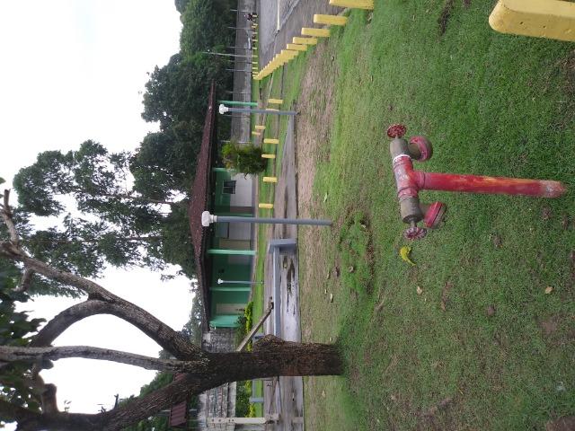 Apartamento - Foto 12