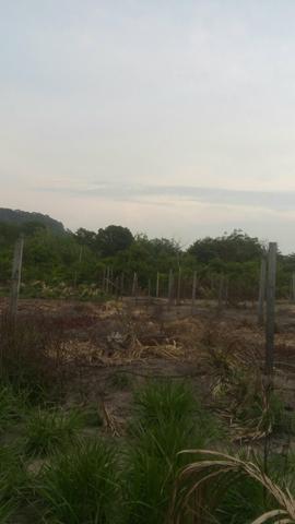 Terreno - Foto 2