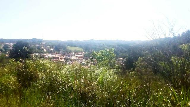 Terreno para Venda, 20.000,00 m² São Bento do Sul / SC, bairro Oxford - Foto 11