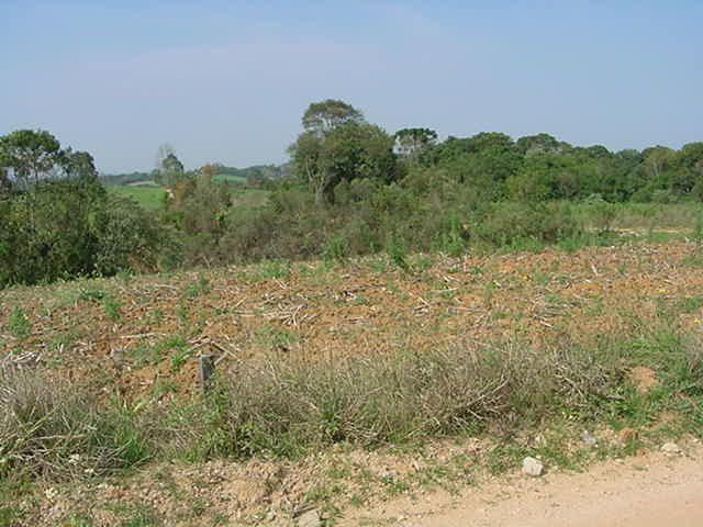 Terreno à venda em Sabiá, Araucária cod:7227-MORO - Foto 3
