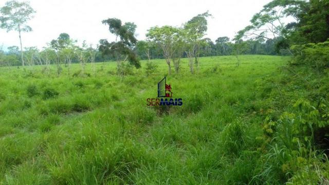Fazenda à venda, por R$ 40.000.000 - Zona Rural - Rurópolis/Pará - Foto 4