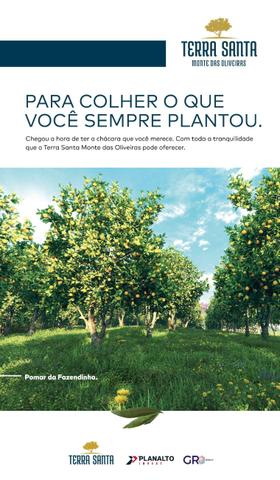 COMPLEXO CHÁCARAS TERRA SANTA MONTE das OLIVEIRAS / ARCA PARQUE - Foto 19