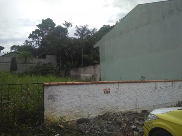 Terreno para alugar com 0 dormitórios em Joao costa, Joinville cod:08769.001 - Foto 3