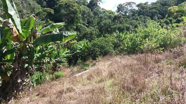 Linda área em Viana 5.000m2 - Foto 8