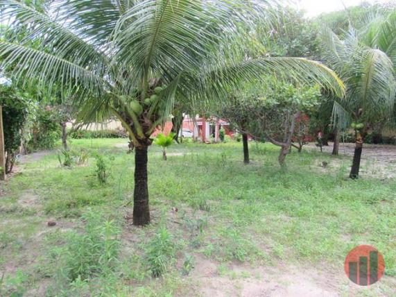 Sítio com 4 dormitórios para alugar, 1600 m² por R$ 1.500,00/mês - Jardim Icaraí - Caucaia - Foto 8