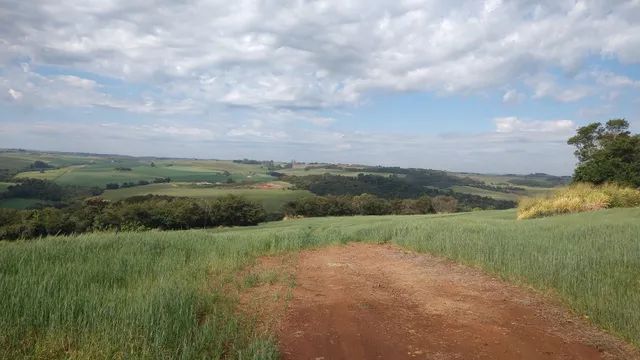 Chácara de 20.000 M2 Sarandi - Pr testada de 118 metros  - Foto 2