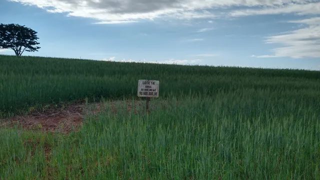 Chácara de 20.000 M2 Sarandi - Pr testada de 118 metros 