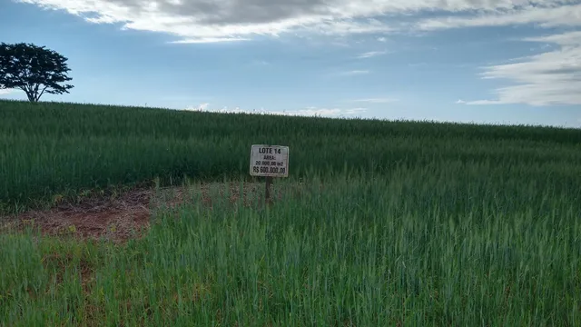Chácara de 20.000 M2 Sarandi - Pr testada de 157 metros