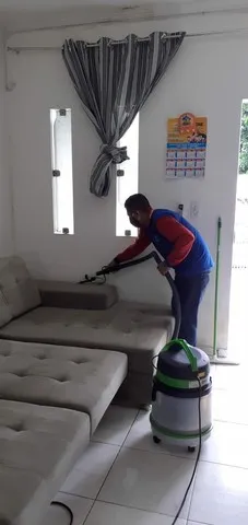 Lavagem a seco e higienização *).