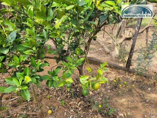 Chácara com 2 dormitórios à venda, 6050 m² por R$ 955.000,00 - Mombuca - Itatiba/SP - Foto 4