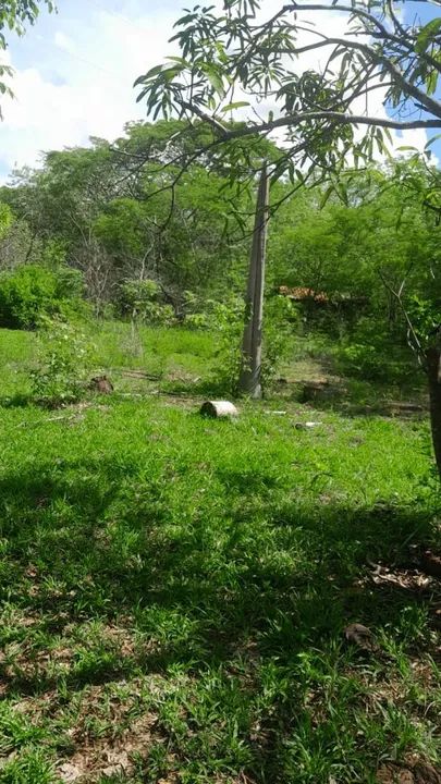 Chácara de 2 hequitares a 32 km de moc - Foto 5