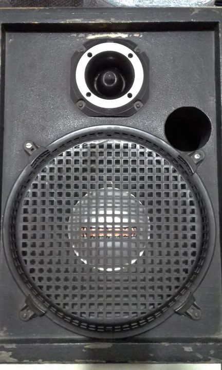 RETORNO 12" 300wattz