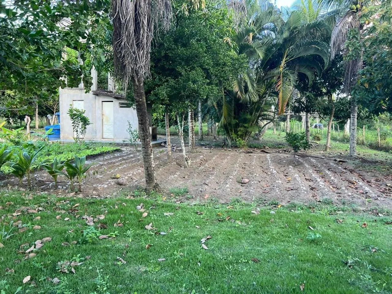 Vende - se Sítio com piscina e área externa para lazer e Casa! - Foto 4
