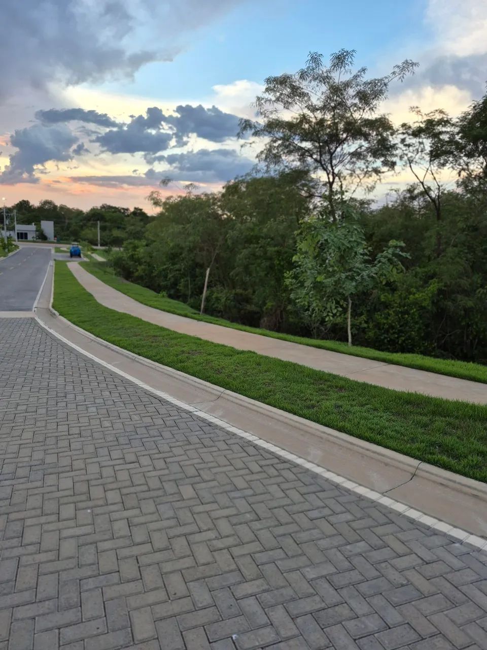 Florais Esmeralda  - Foto 3