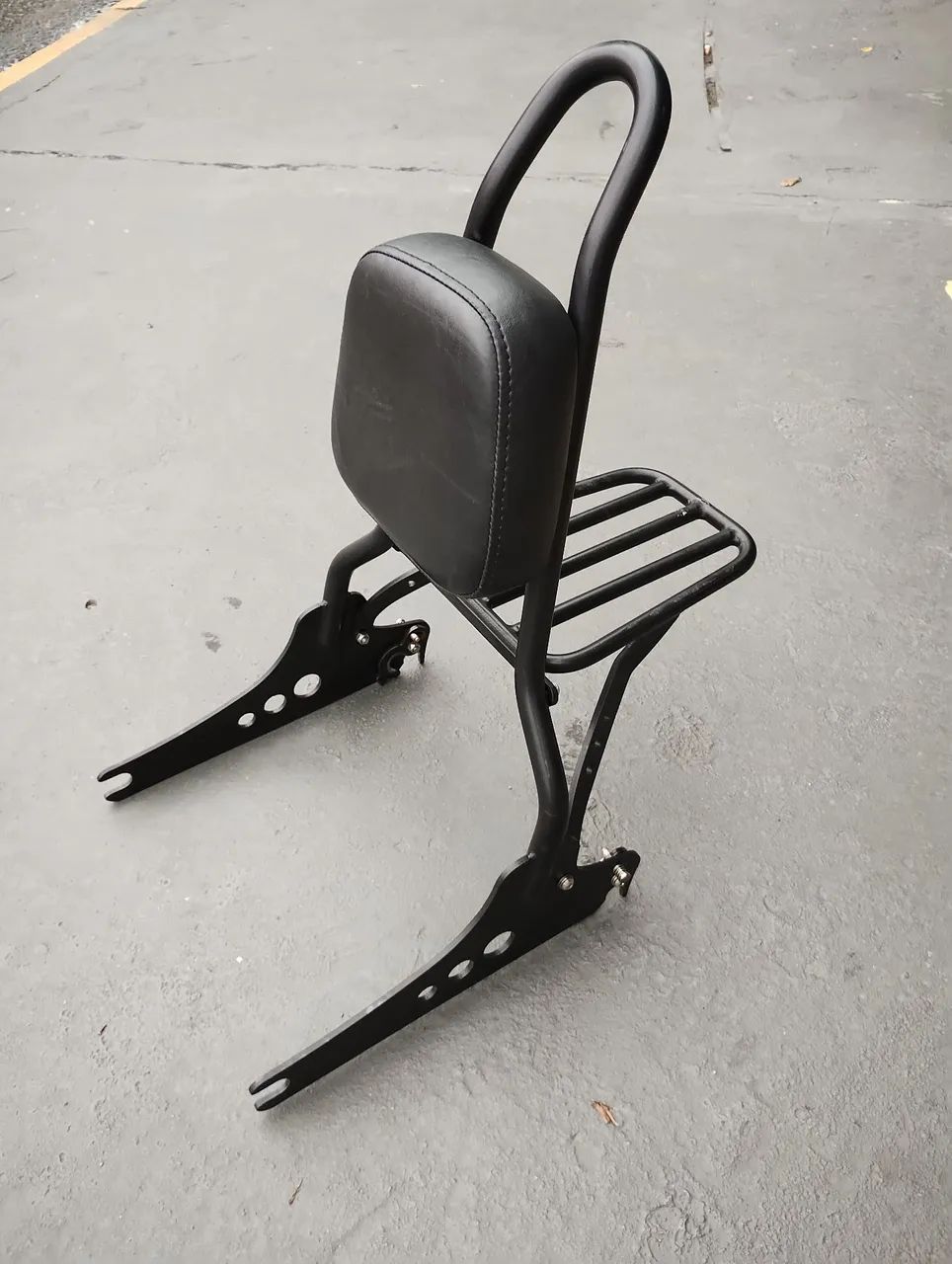 Sissy Bar Wings Custom Harley Davidson