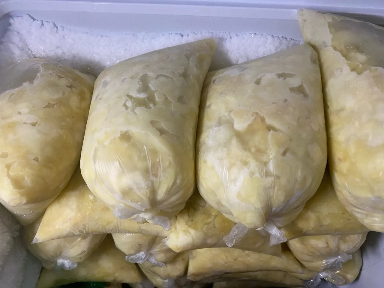 POLPA DE CUPUAÇU TESOURADA