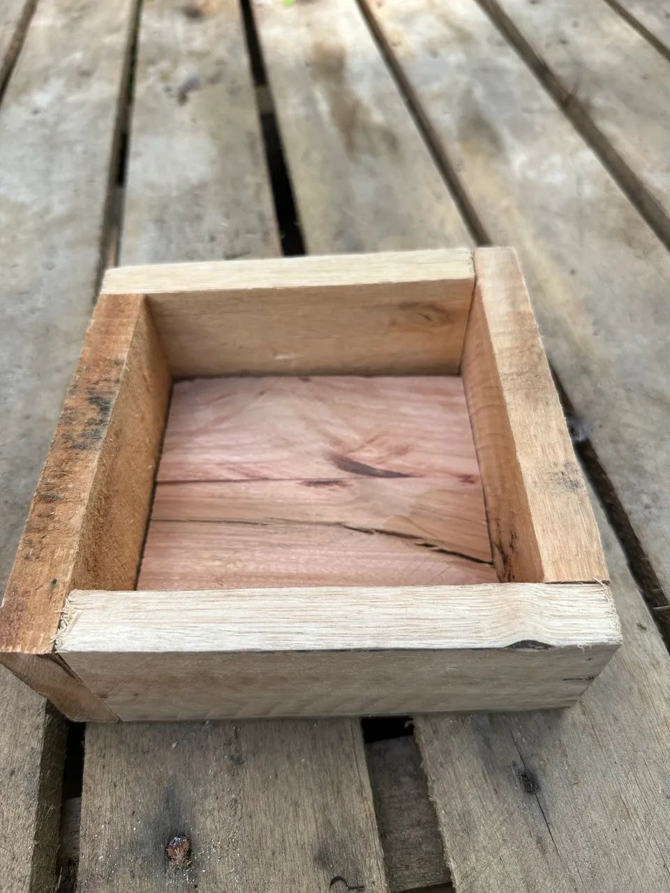 Caixa de Abelha - Entrego - Foto 4