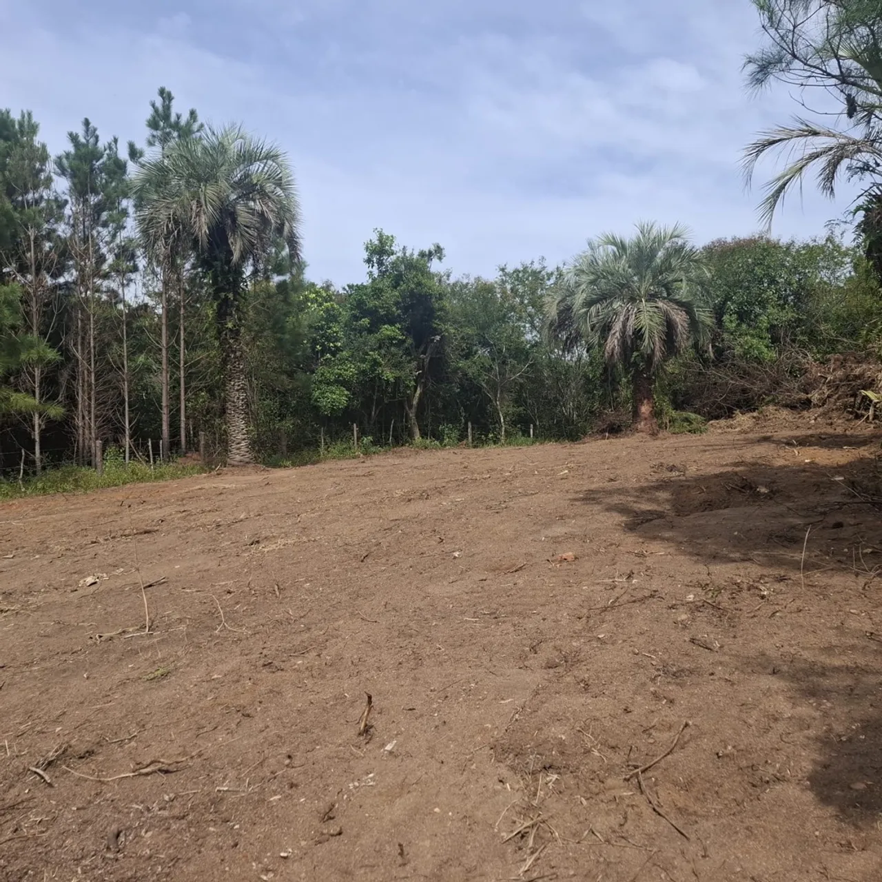 Terreno enorme