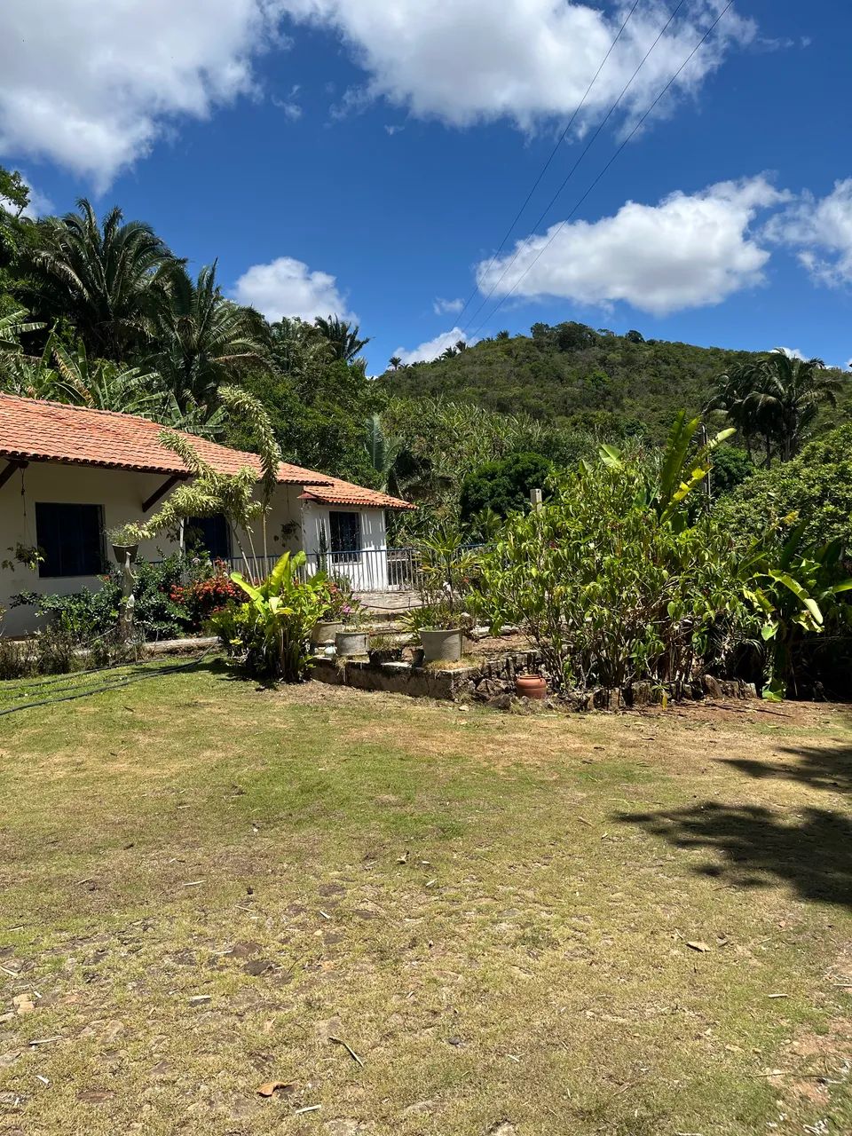 Sítio  a venda com 18 hectares com barragem  - Foto 2
