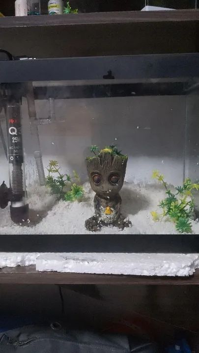 Aquário Completo de 15 Litros - Praticamente Novo!