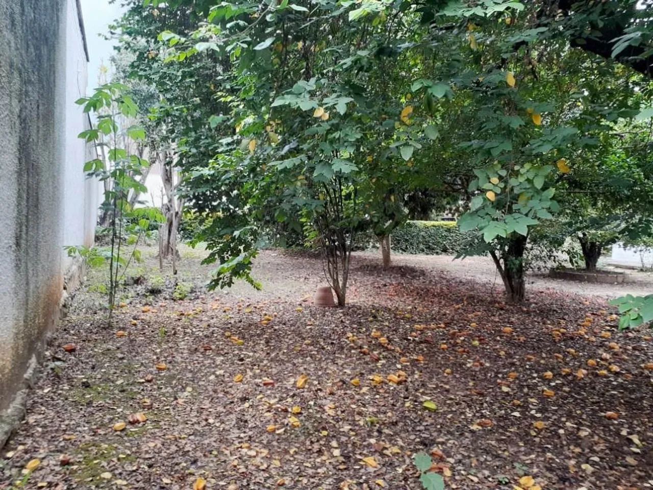 Terreno à venda, Chácaras Antonieta - Limeira/SP - Foto 2