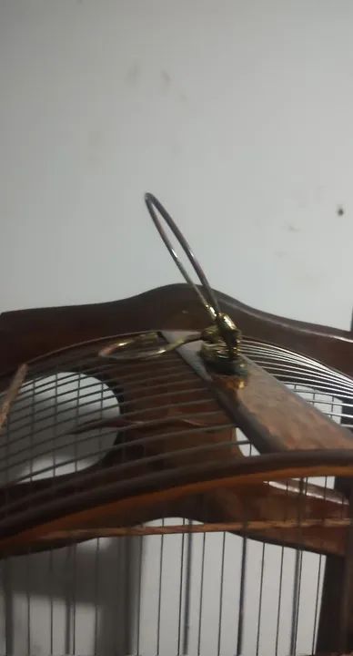 Gaiola luxo . Trocas em gaiola de ring - Foto 6