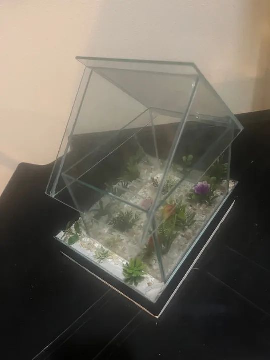 Aquário para peixe BETA - Foto 3