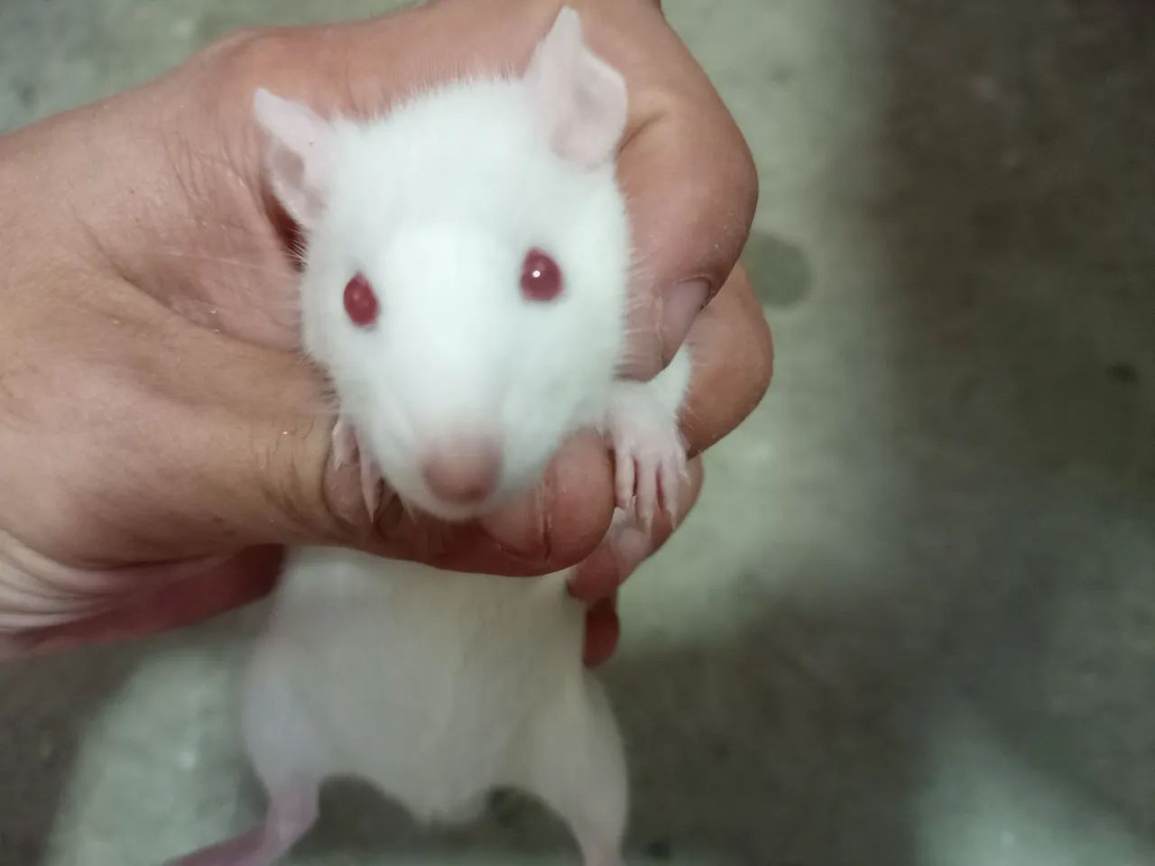 Female Twister63824580232833122