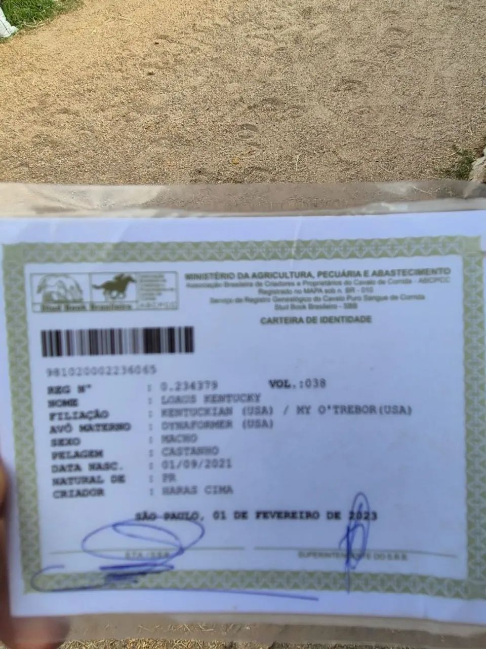 Cavalo Psi  - Foto 3