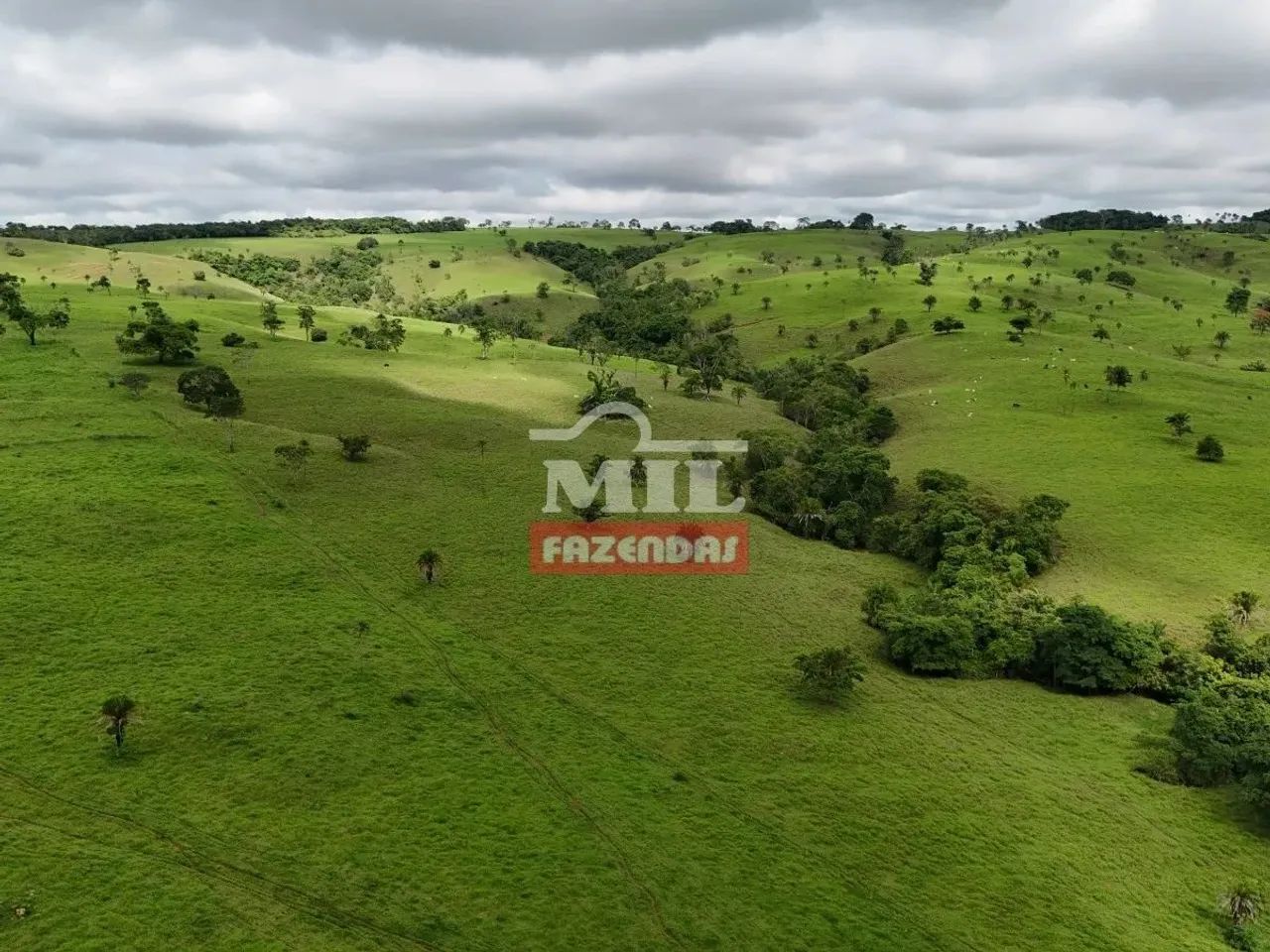 Fazenda 100 alqueires 484 hectares margens represa ( Nova Aurora ) - Foto 2