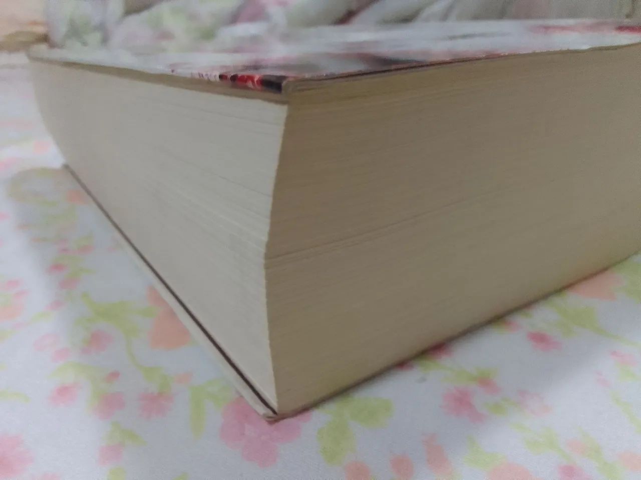 Livro Tema It a Coisa. - Foto 5