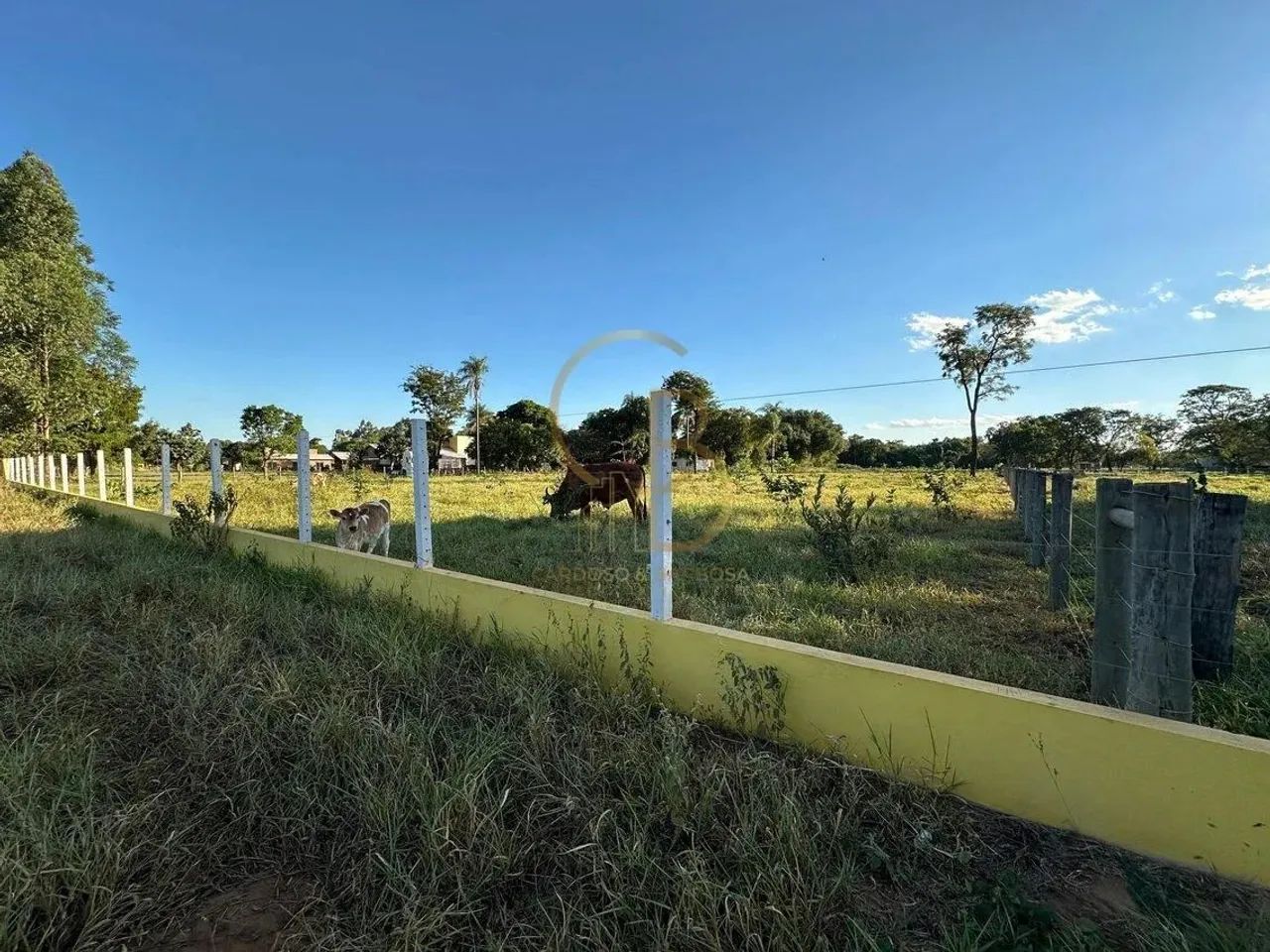 O CAMPO ESTÁ CHAMANDO: TERRENO DE 1 HECTARE PRONTO PARA SUA CHÁCARA! - Foto 5