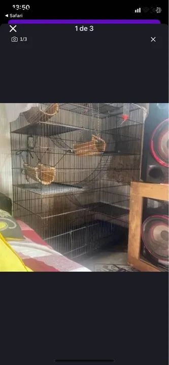 Gaiola para roedores  - Foto 2