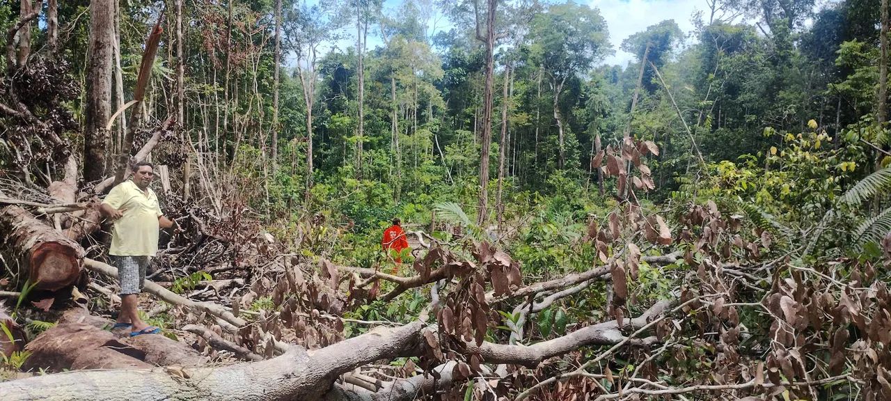 Foto - Manaus - Cidade de Deus