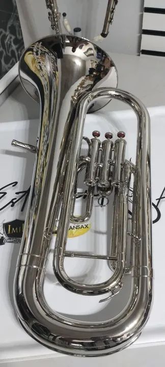 Euphonium em sib Dolphin  - Foto 5