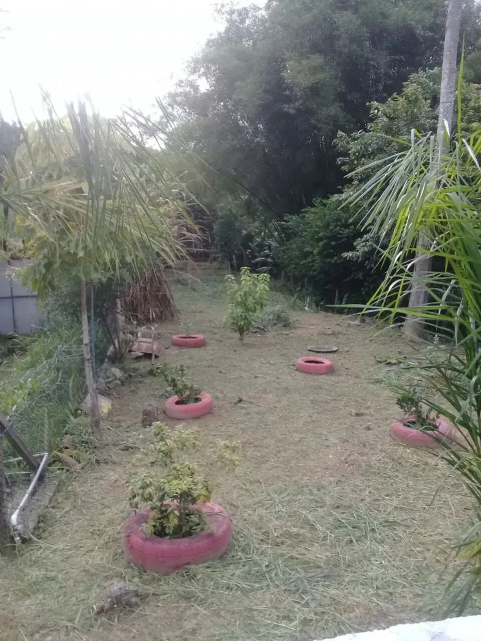 Chácara para venda - Foto 5