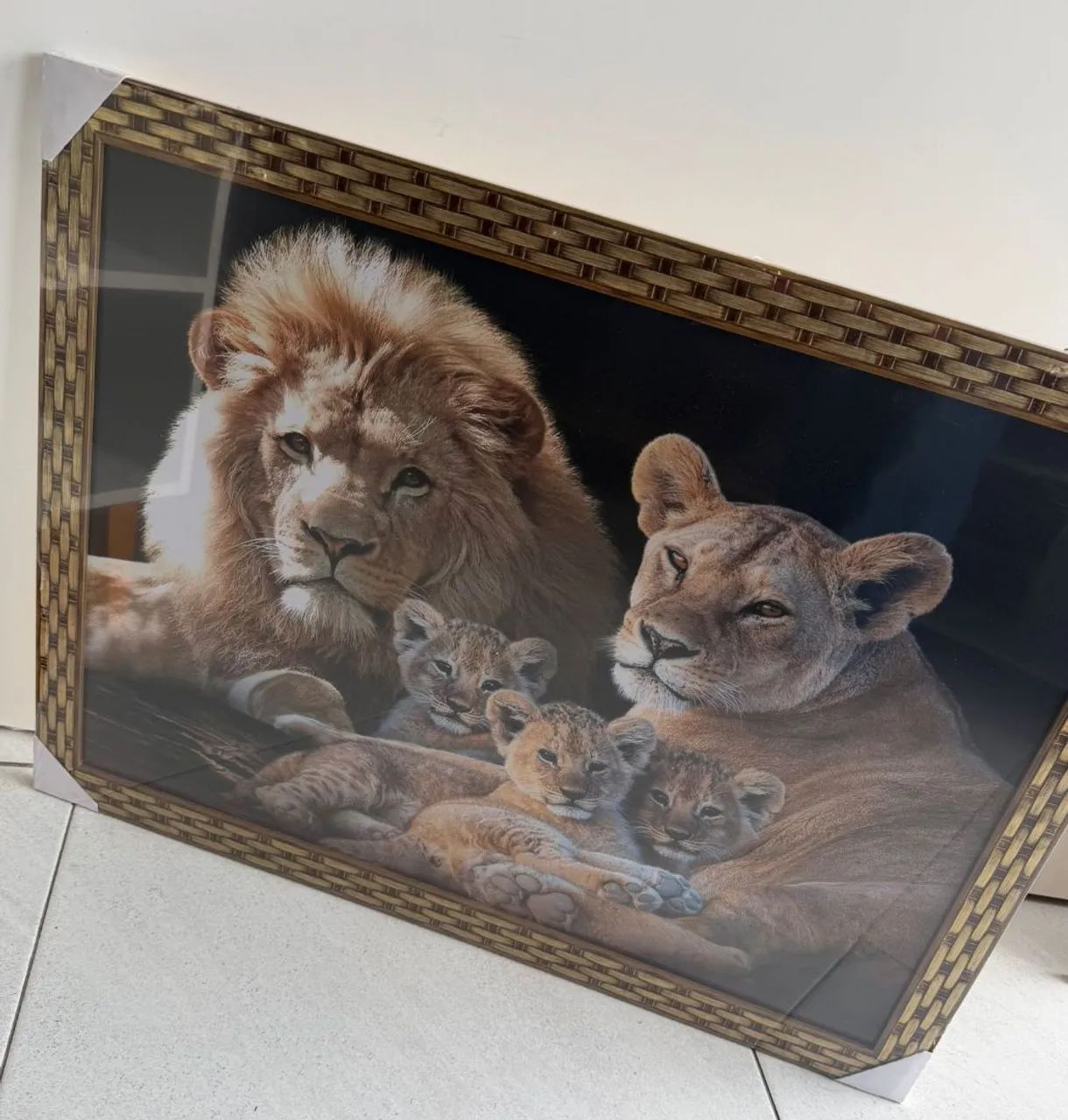 Quadro médio  - Foto 3